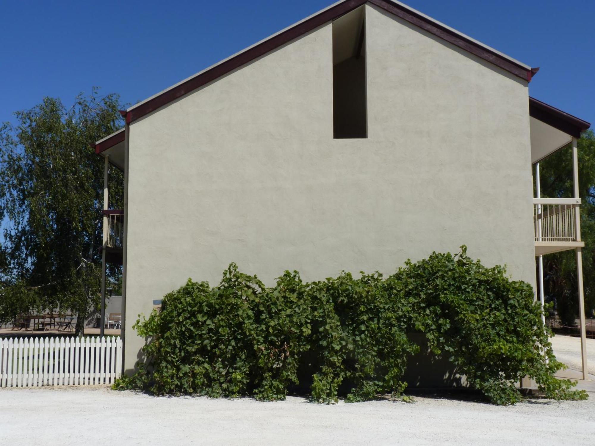 Coonawarra Motor Lodge Penola Luaran gambar