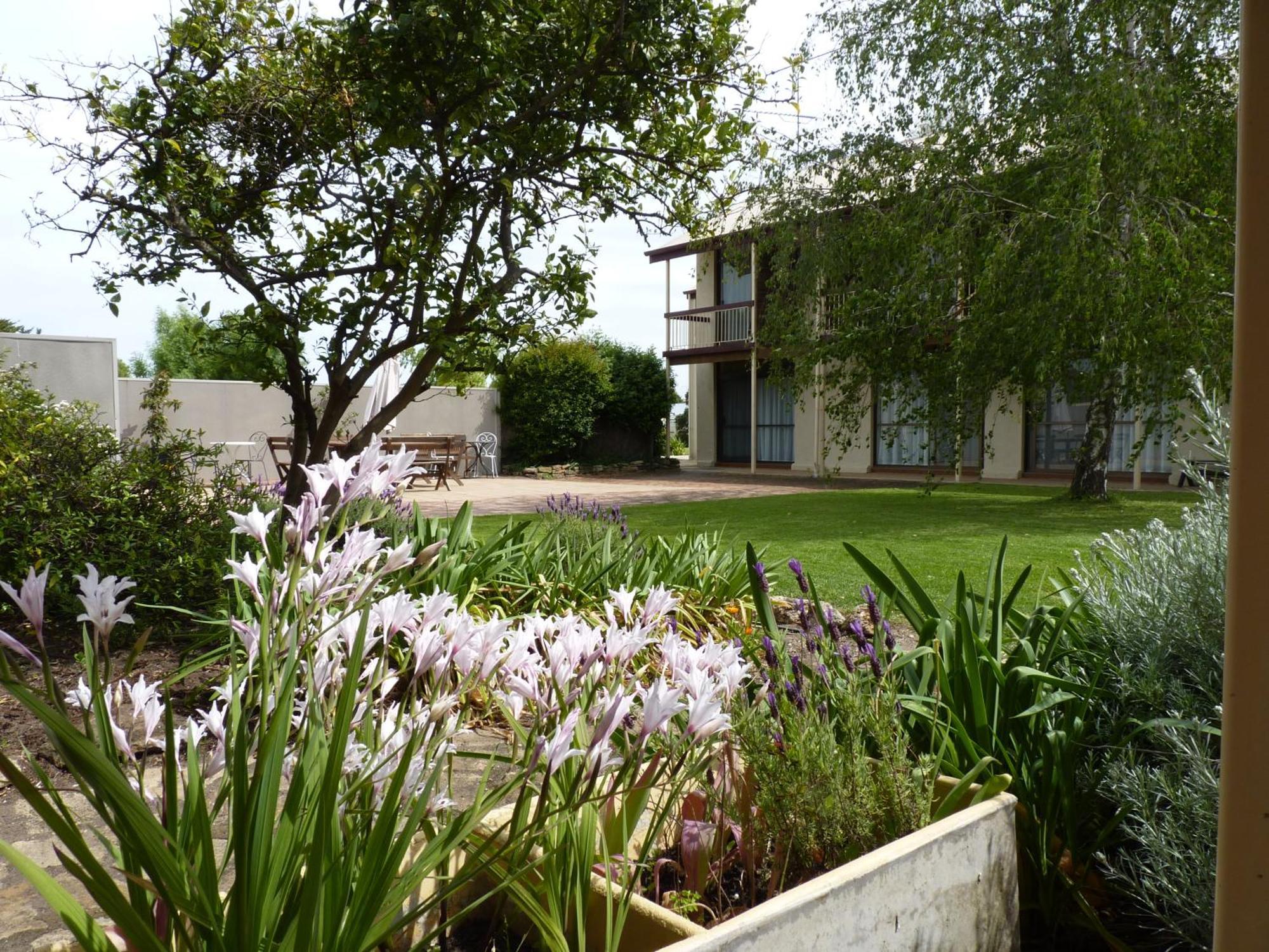Coonawarra Motor Lodge Penola Luaran gambar